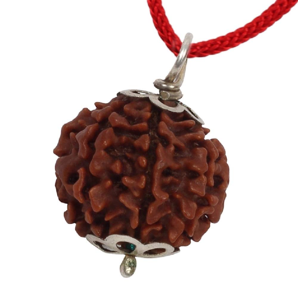 Rudraksha